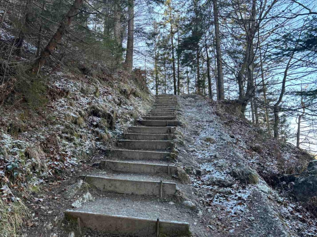 Hintersteiner See im Frühling, Ein steiler Treppenweg aus Betonstufen, der durch einen Wald mit schnee- und frostbedecktem Boden führt.