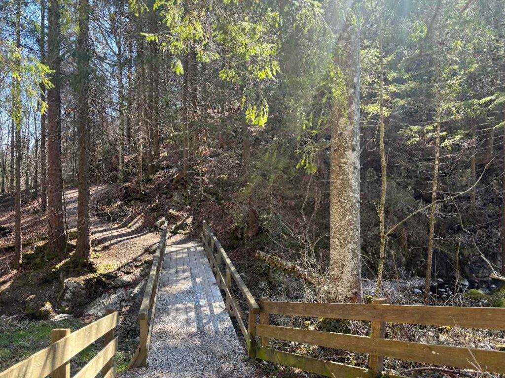 Hintersteiner See im Frühling, Eine Holzbrücke führt durch einen Wald mit hohen Bäumen und sonnigem Wetter.