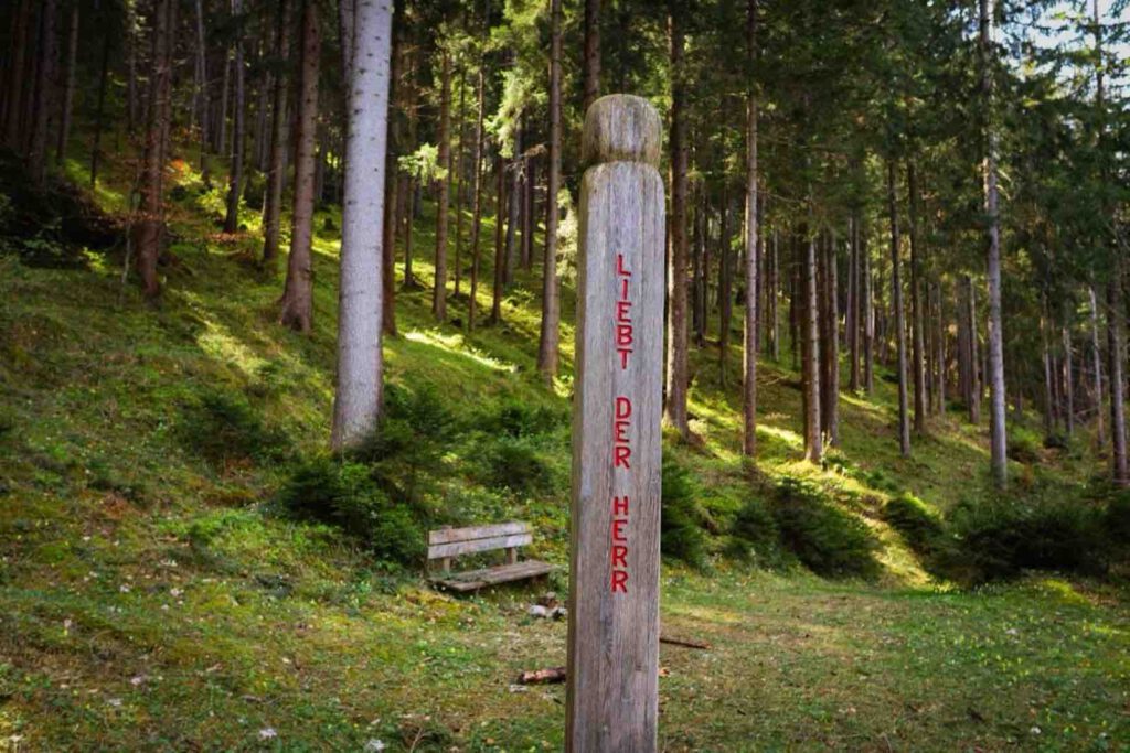 Holzpfahl mit Markierung des Dien-Mut-Wegs im Wald