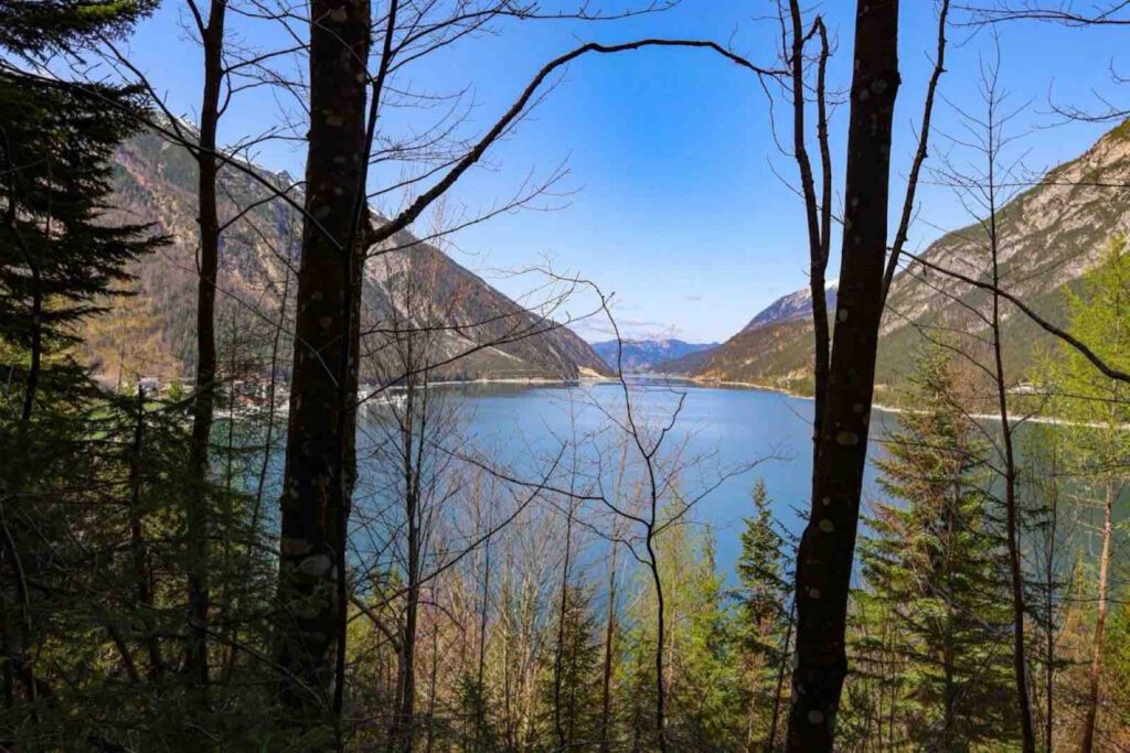 Blick durch Bäume auf den Achensee und die umliegenden Tiroler Berge