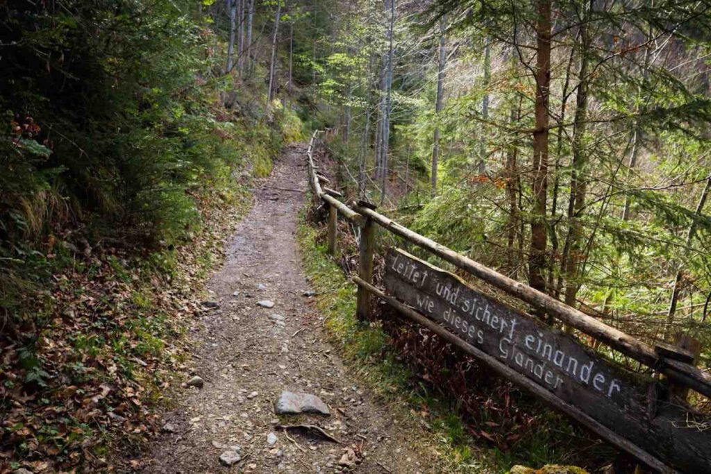 Waldpfad mit Geländer entlang des Besinnungswegs Achensee