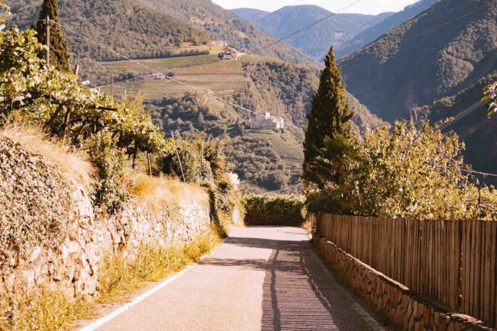 Panoramablick Bozen vom Weinwanderweg Rebe
