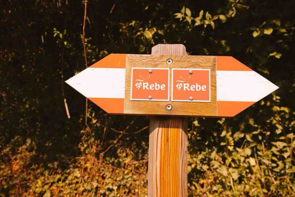 Wegweiser Rebe Weinwanderweg Bozen Beschilderung