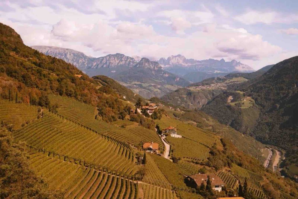 Weinberge Südtirol Panorama Richtung Dolomiten Weinwanderweg Rebe Bozen