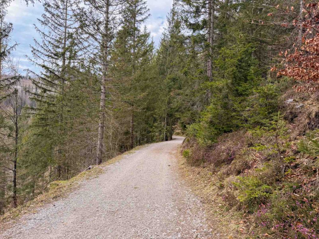 waldweg und schotterstraße beim wandern in ellmau
