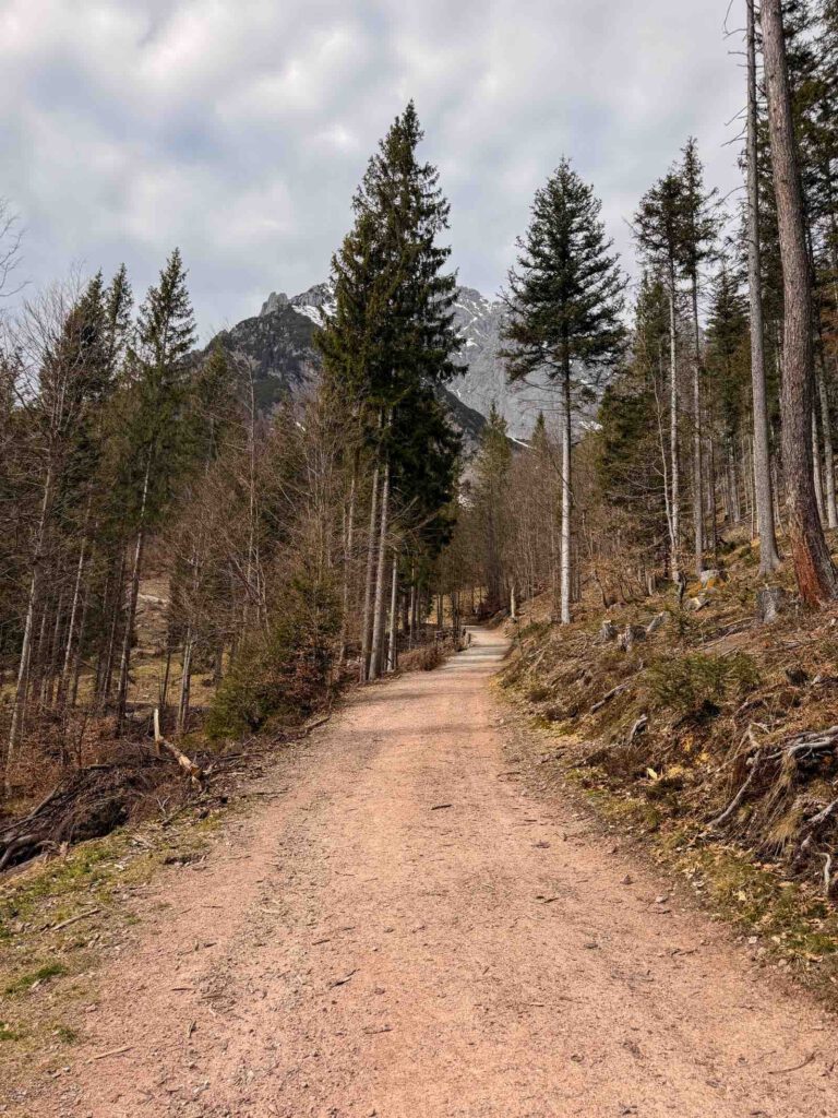 breiter forstweg wandern ellmau wilder kaiser