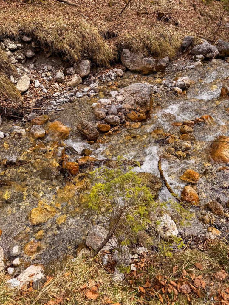 Detailaufnahme eines Gebirgsbachs entlang der Wanderung