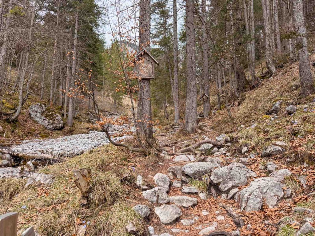 Waldpfad mit Bachlauf Richtung St Anna Grotte im Kaisergebirge