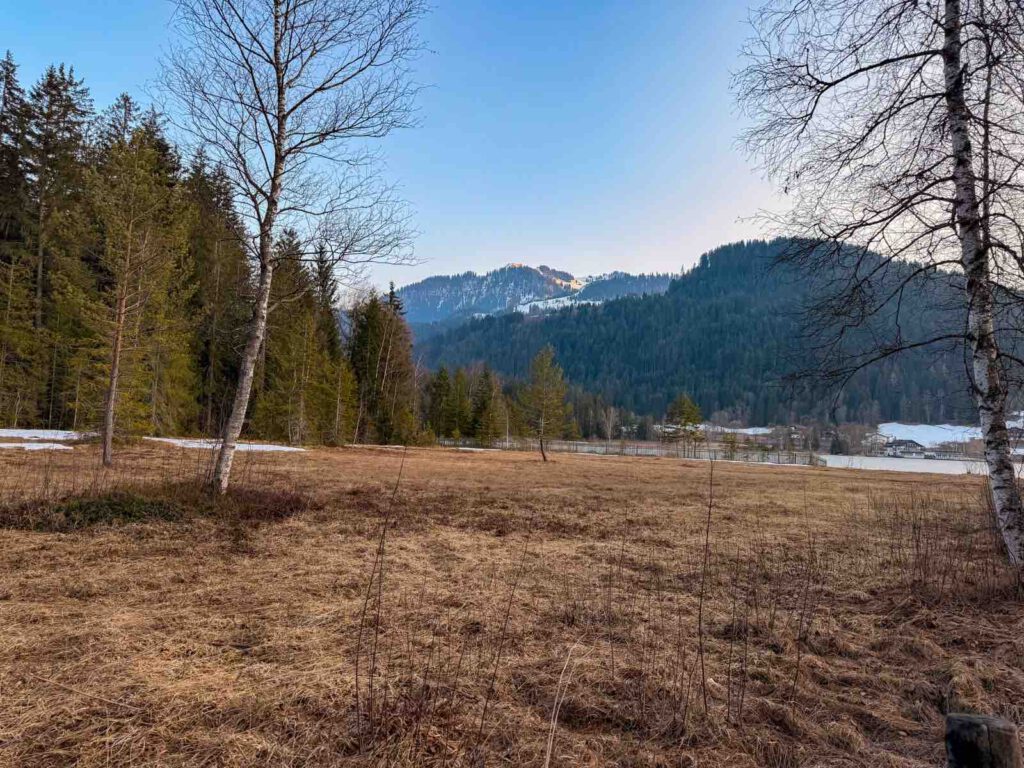 Natur rund um den Schwarzsee in Kitzbühel im Frühling