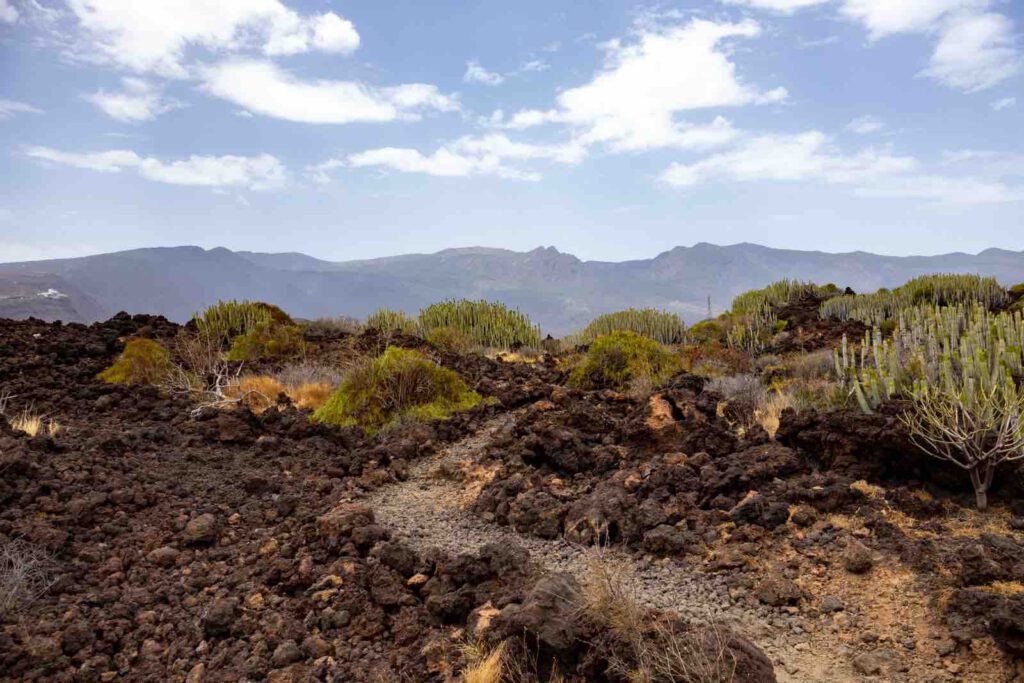 Lavafeld entlang des Wanderwegs im Naturreservat Malpaís de Güímar auf Teneriffa