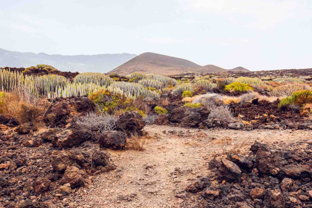 Wanderweg durch die karge Vulkanlandschaft im Malpaís de Güímar auf Teneriffa