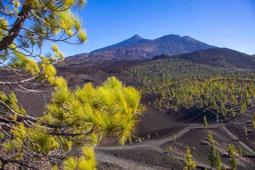Blick auf die vulkanische Landschaft und den Wanderweg rund um die Montaña Samara im Teide Nationalpark