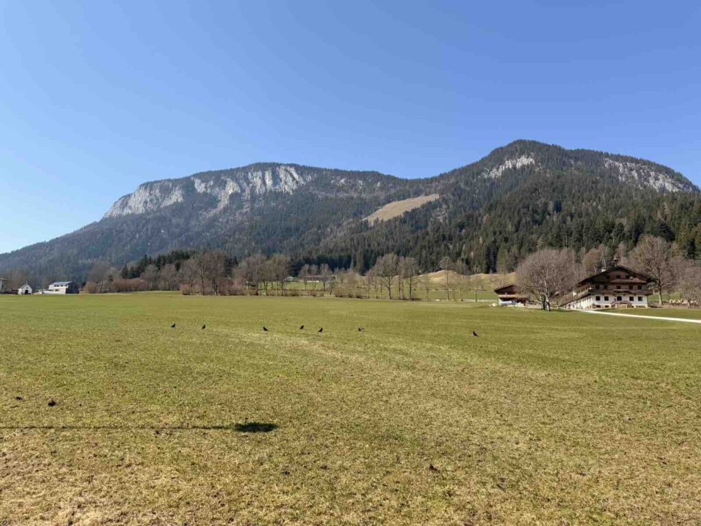 Wiesen und Berge rund um Söll Tirol