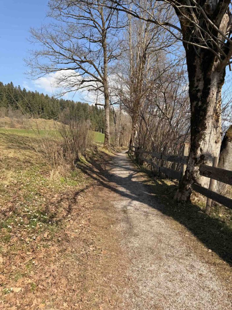 Ruhiger Weg durch Wiesen bei der Rundwanderung Söll