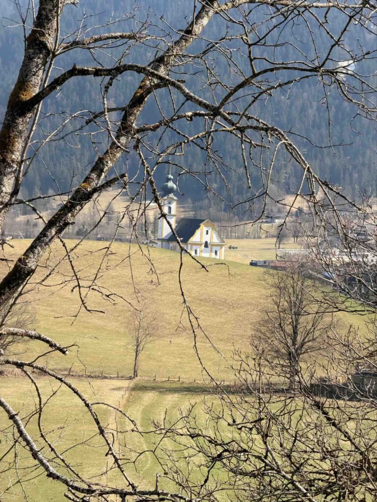 Blick durch Bäume auf Söll und Umgebung