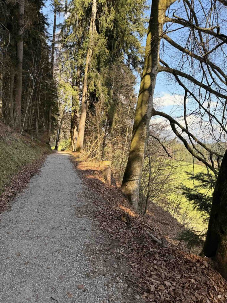 Waldweg mit Kiesuntergrund bei der Rundwanderung Söll