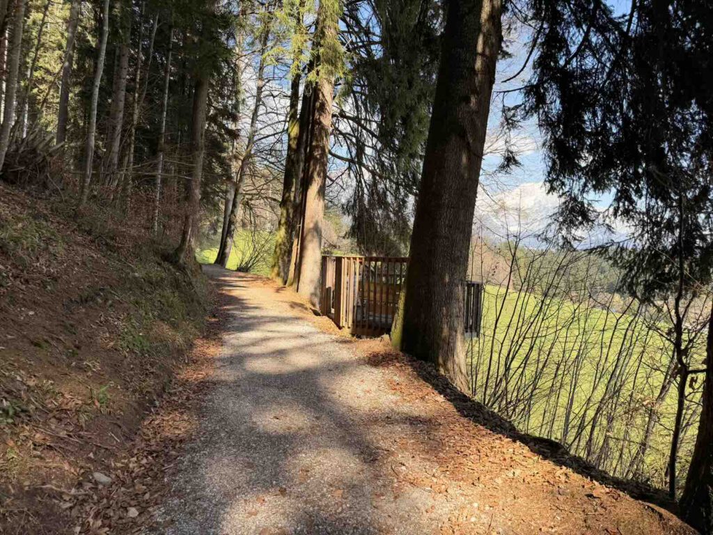 Waldweg entlang der Rundwanderung in Söll