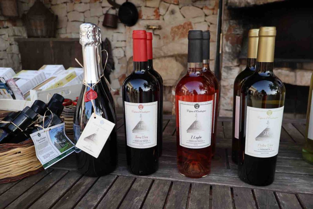 puglia dei Trulli, weinflaschen sortiment apulien martina franca weinverkostung