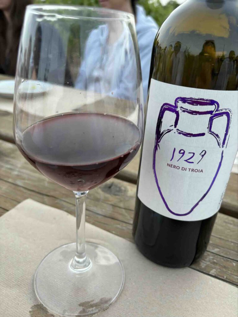 Puglia dei Trulli, rotwein glas apulien weinverkostung Martina Franca, 1929 nero di troia