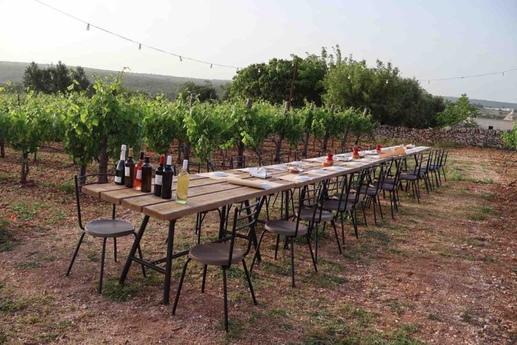 puglia dei Trulli, lange tafel weinberg apulien weinverkostung martina franca
