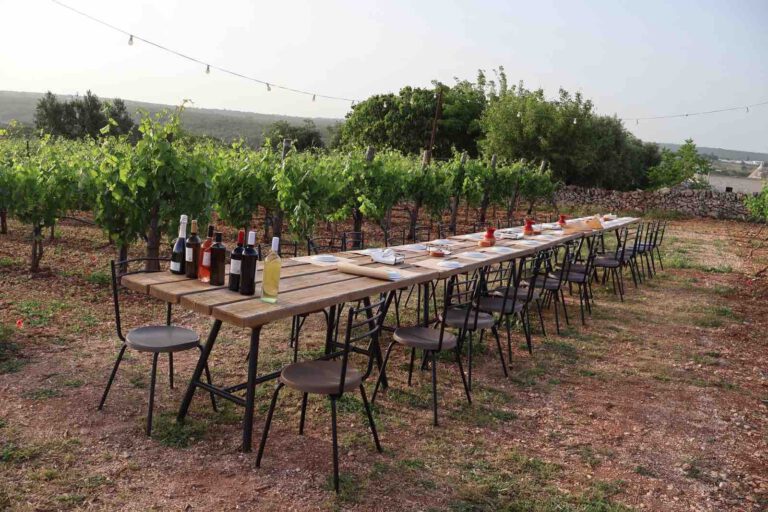 puglia dei Trulli, lange tafel weinberg apulien weinverkostung martina franca