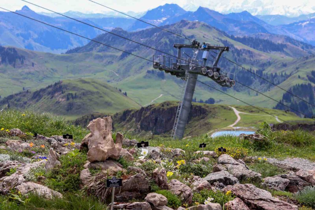 Seilbahnstation mit alpinen Garten am Kitzbüheler Horn in alpiner Landschaft