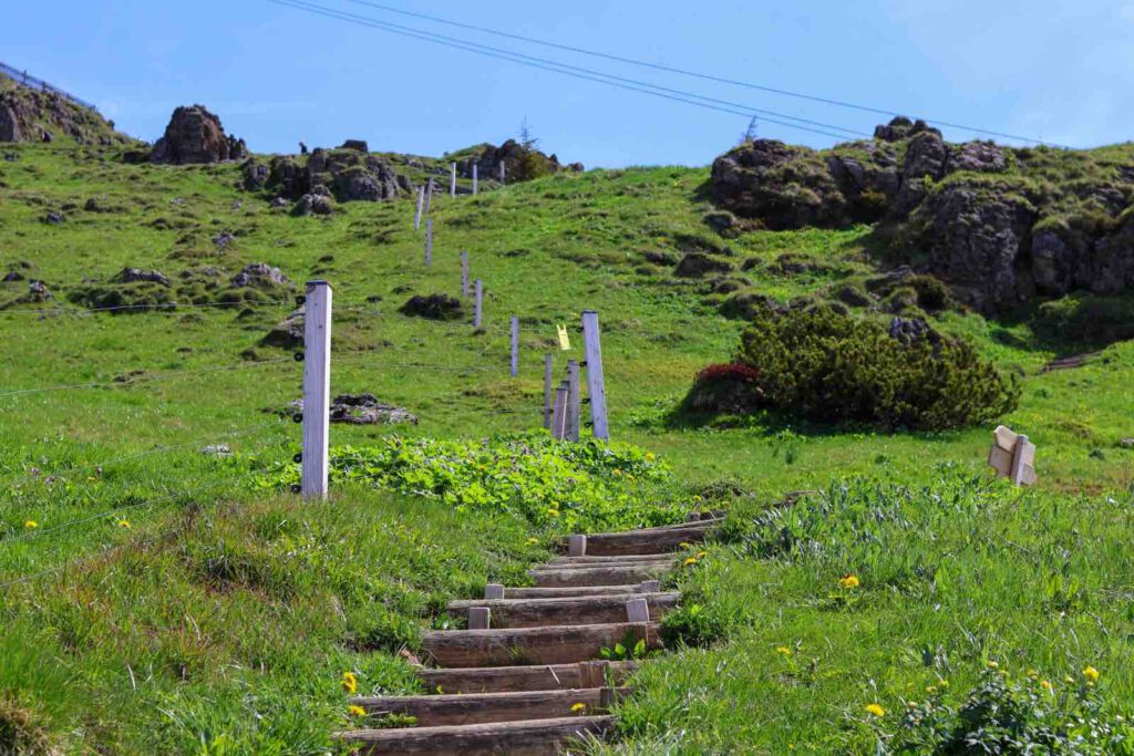 Wanderweg mit Stufen durch alpine Wiesen am Kitzbüheler Horn