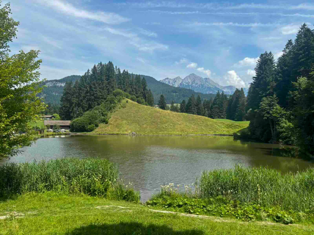 Moorsee Söll mit Blick auf den Wilden Kaiser