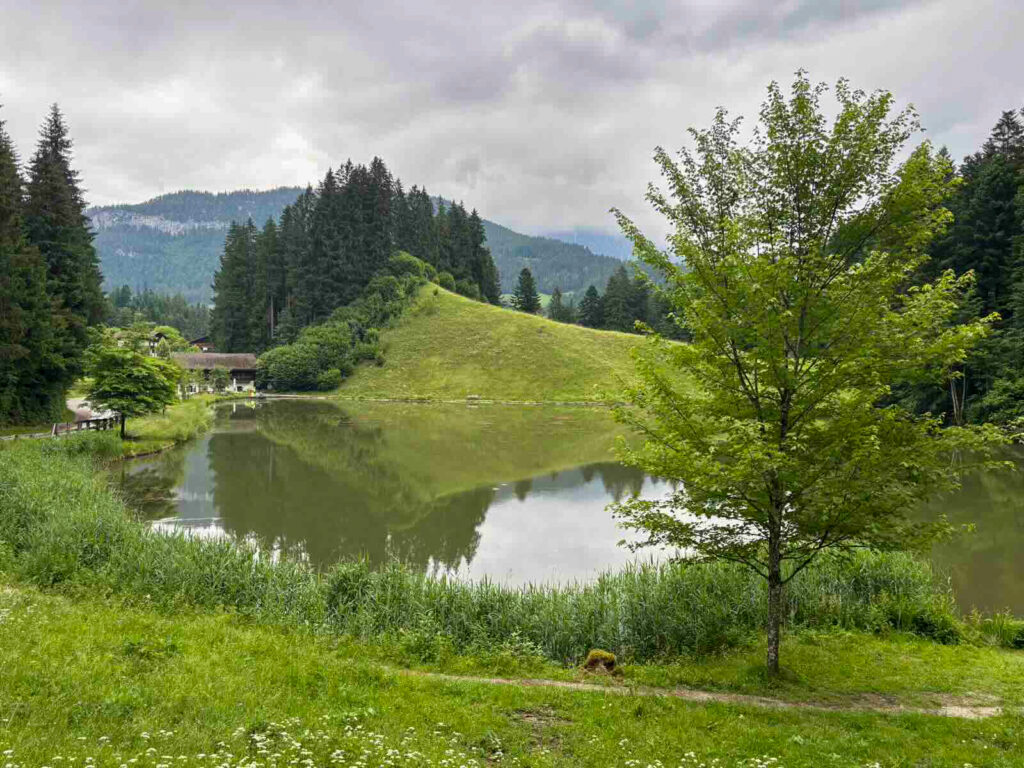 Moorsee Söll mit ruhiger Spiegelung und Bergblick