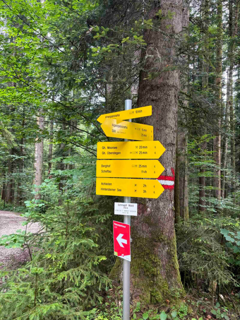 Wegweiser im Wald bei Söll entlang der Wanderroute