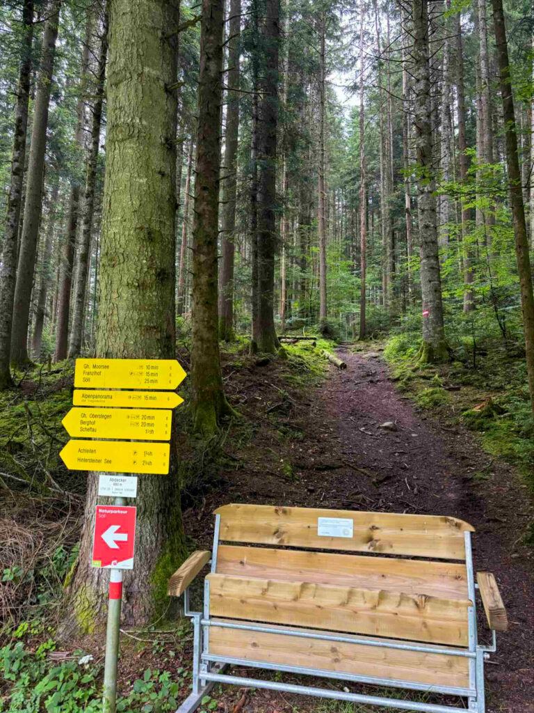 Wanderweg mit Wegweisern nahe Naturparkour Söll