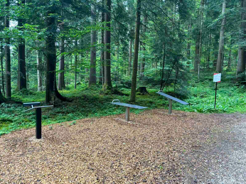 Trainingsbereich mit Holzuntergrund im Naturparkour Söll