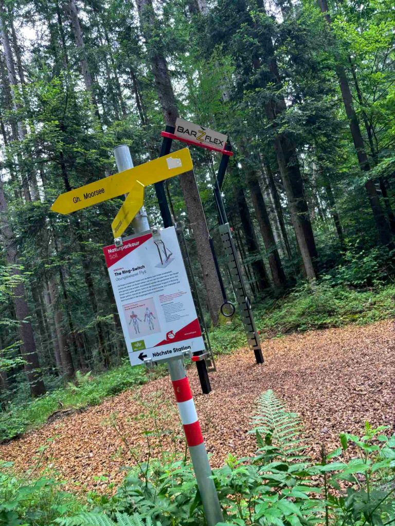 Beschilderung im Wald beim Naturparkour Söll