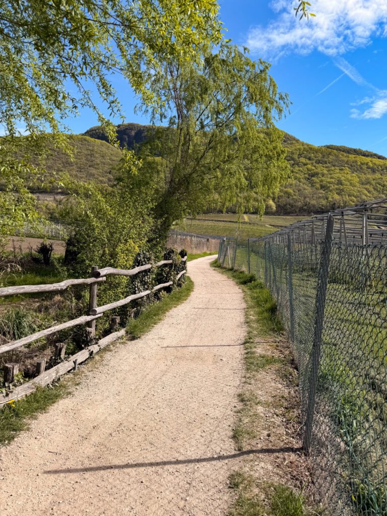 Schotterweg entlang Weinberge Kalterer See