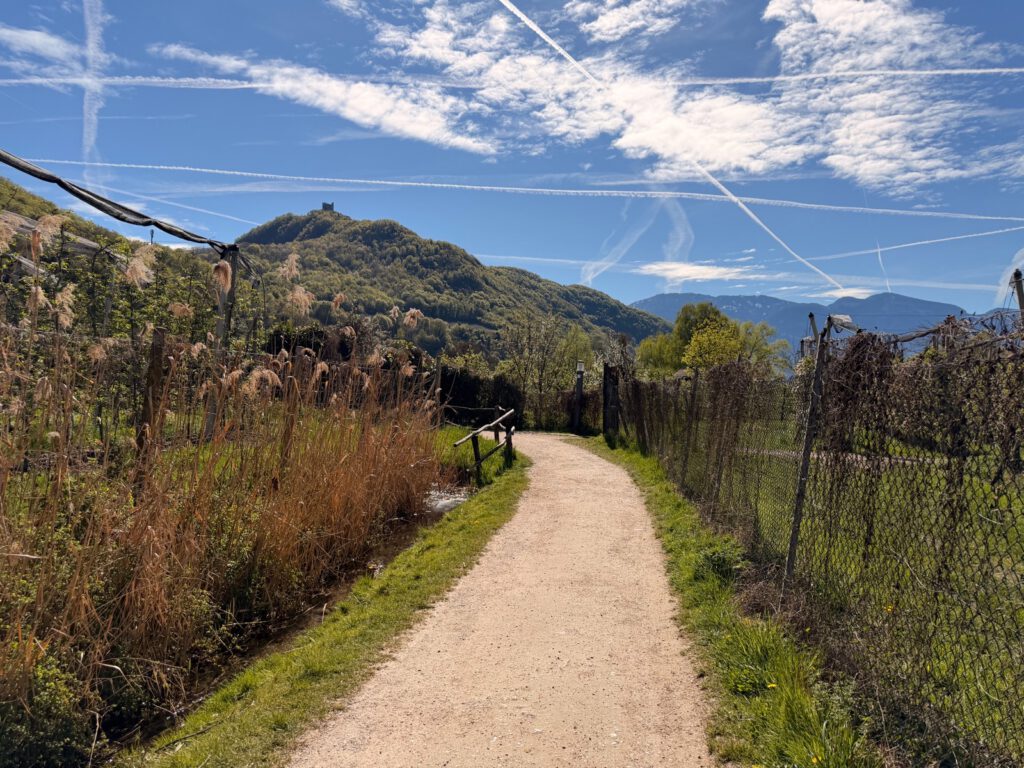 Spazierweg durch Obstplantagen Kalterer See