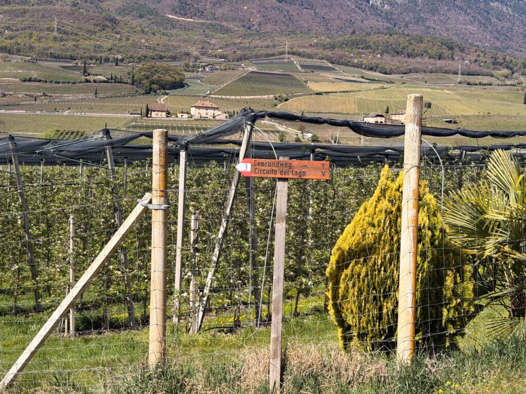 Wanderweg mit Wegweiser Kalterer See Rundtour