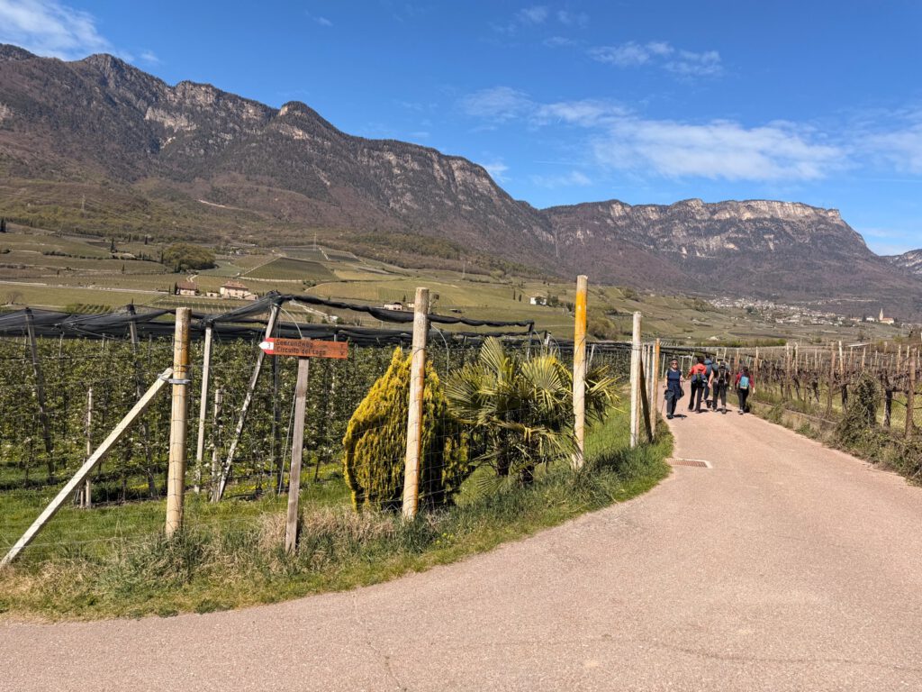 Wanderweg durch Weinberge Kalterer See