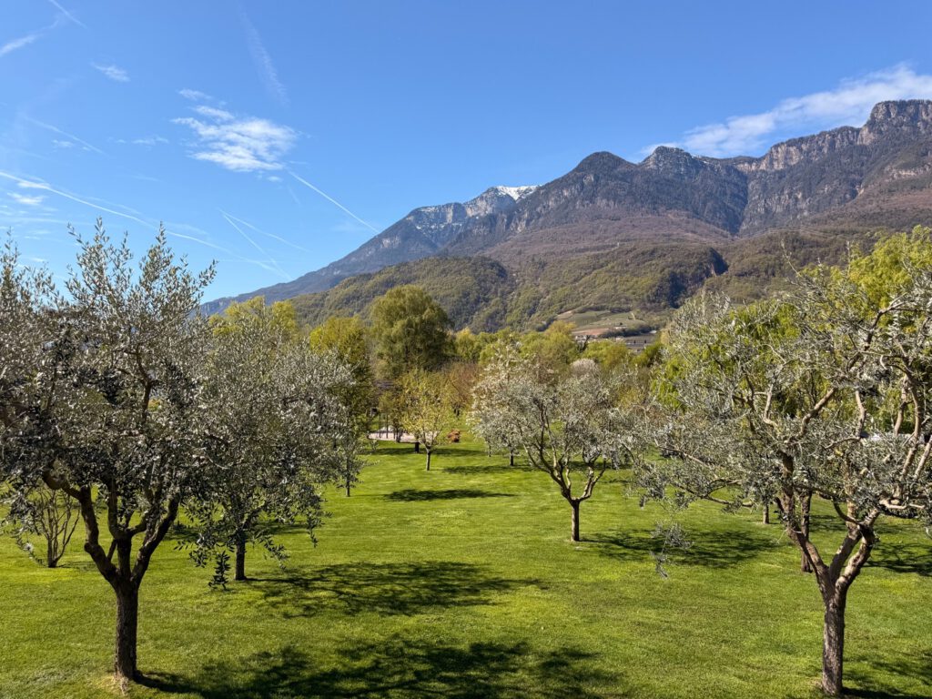 Garten Parc Hotel am See mit Blick auf Kalterer See