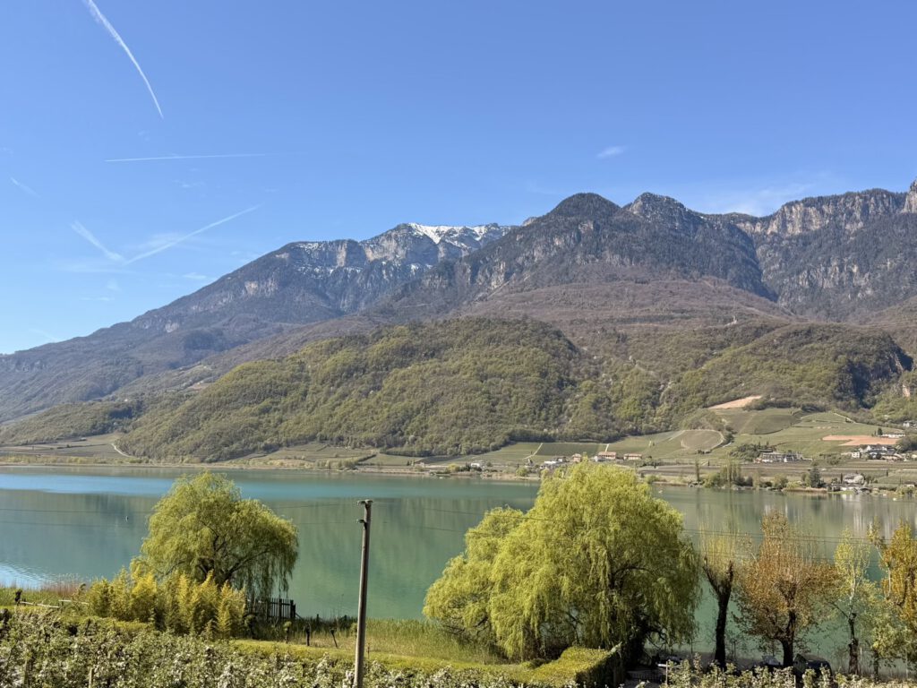 Kalterer See Panorama mit Weinbergen