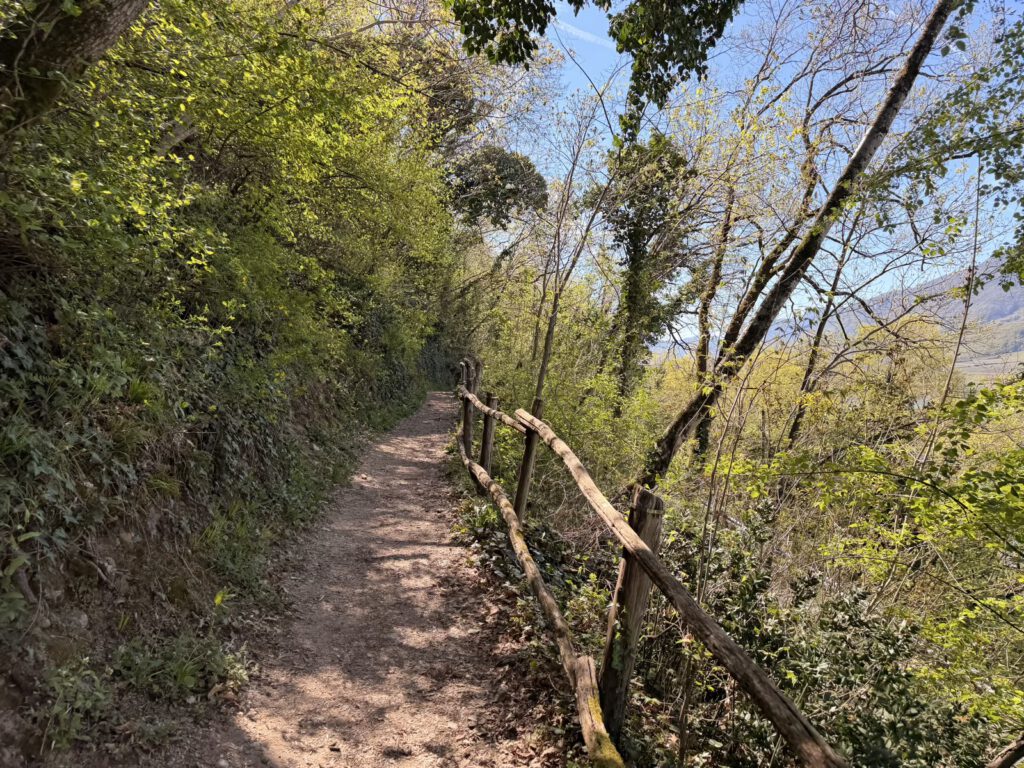 Schmaler Naturpfad am Kalterer See Wanderung