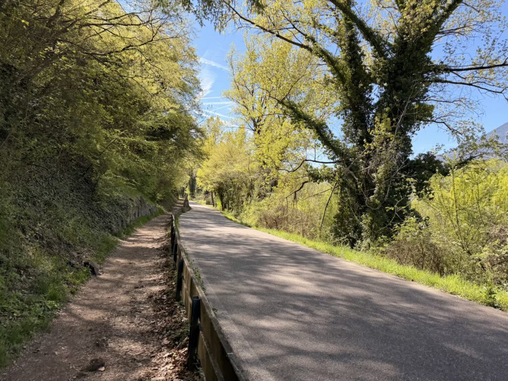 Asphaltweg entlang Kalterer See Spaziergang
