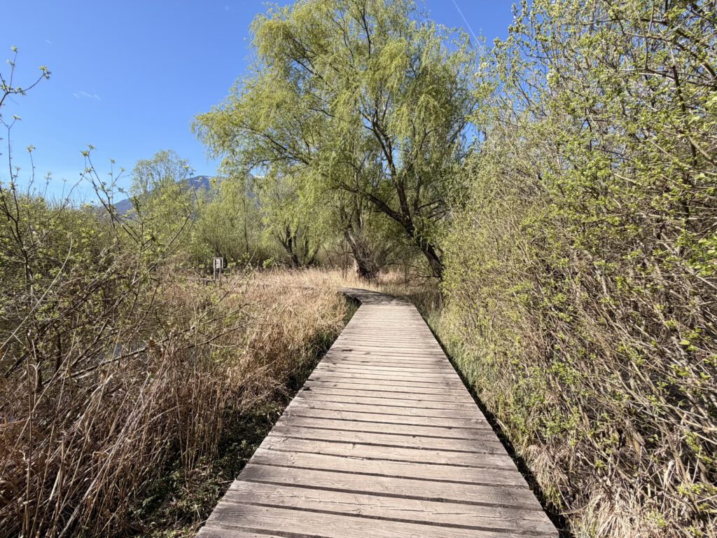 Holzsteg Rundweg Kalterer See Naturpfad