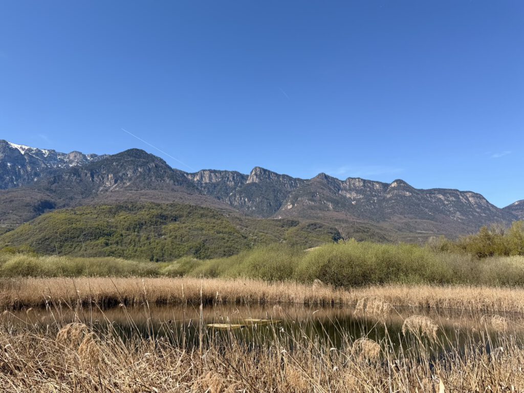 Panorama Kalterer See mit Bergen Südtirol