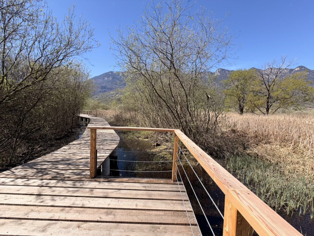 Holzsteg durch Biotop Kalterer See Wanderweg