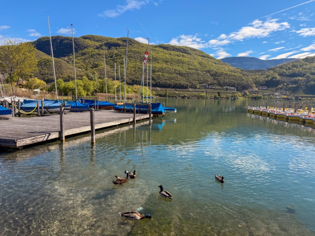 Kalterer See mit Enten und Steg