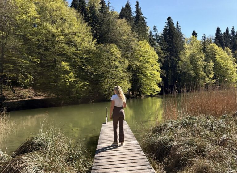 Berglsteinersee – Naturidylle und Entspannung