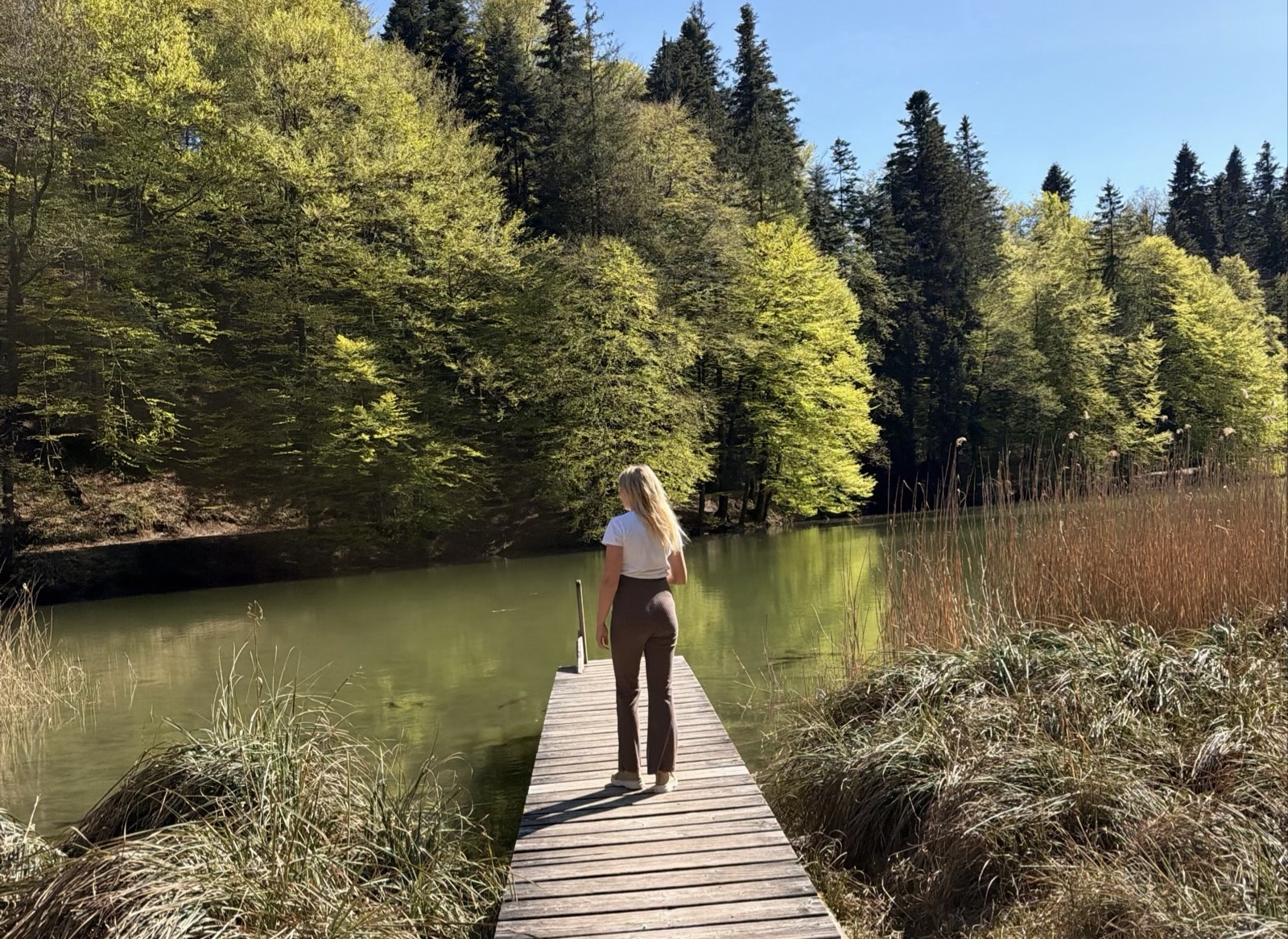 Berglsteinersee - Naturidylle und Entspannung